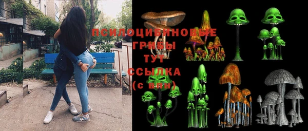 а пвп мука Абаза