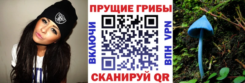 Галлюциногенные грибы ЛСД  наркошоп  Задонск 