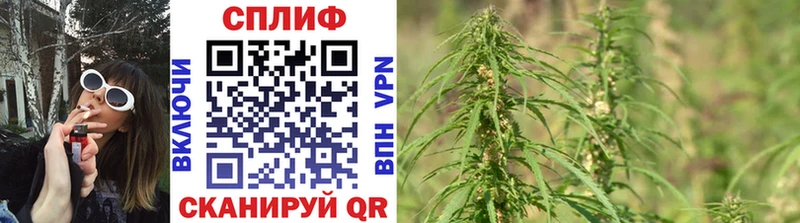 Конопля конопля Задонск